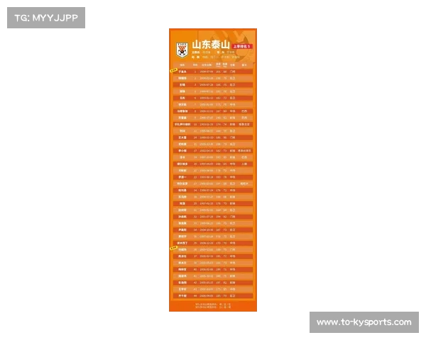 云南玉昆聚集徐新石柯等经验球员 阵容厚度助力升班马立足中超